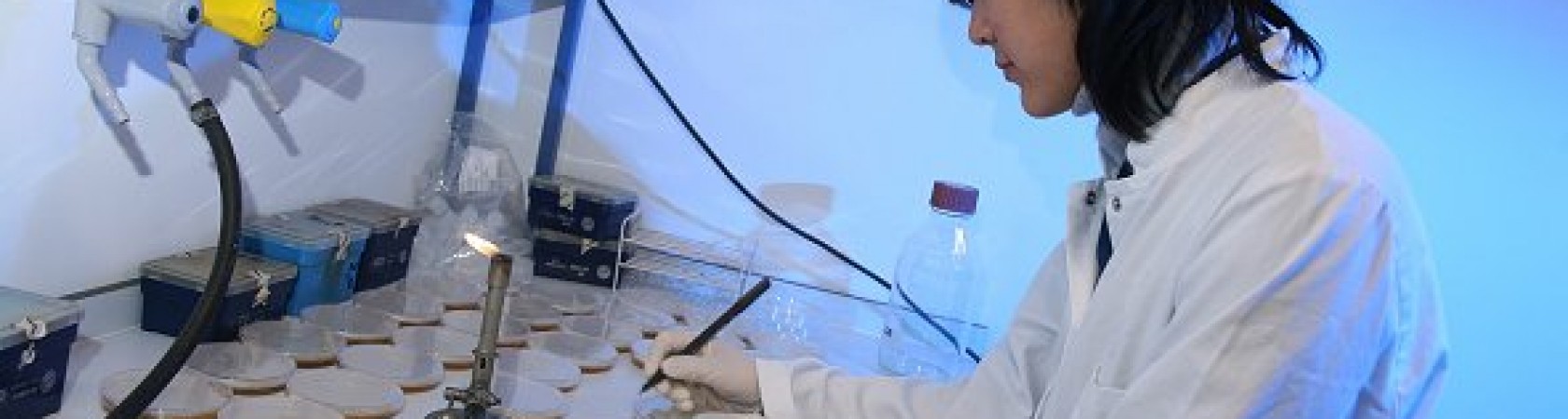 biotechnologies