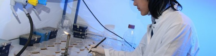 biotechnologies
